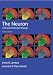 The Neuron: Cell and Molecular Biology