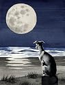 "Greyhound" Dog Art Print Signed by Artist DJ Rogers