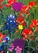Wildflowers in Texas, Wildflowers Note Card, 5x7