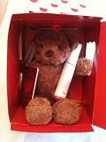 Chad Valley Designabear Design a bear Brown With Passport And Birth Certificate