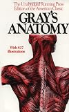 Gray's Anatomy