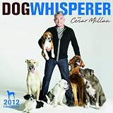 2012 The Dog Whisperer Wall calendar