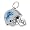 Detroit Lions