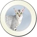 ORIENTAL BLACK/SILVER Tax Disc Holder