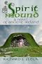 Spirit Mound: A Novel of Ancient Ireland