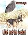 Lilah and the Locket - Cape Hatteras 1954