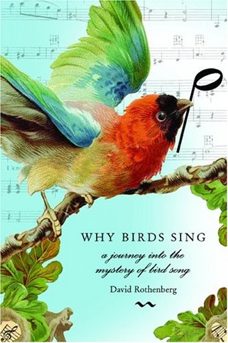 Why Birds Sing: A Journey Through the Mystery of Bird Song