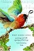 Why Birds Sing: A Journey Through the Mystery of Bird Song