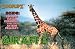 Giraffe Zooflipz