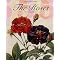 Floral & Still-life Art