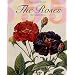 The Roses: The Complete Plates (Taschen 25th Anniversary)
