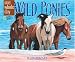 Search : Wild Ponies: A One Whole Day Book (One Whole Day)