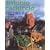 Antonio Carluccio Goes Wild: 120 Recipes for Wild Food from Land and Sea