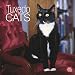 Tuxedo Cats 2010 Square Wall (Multilingual Edition)