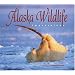 Alaska Wildlife Impressions