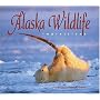 Alaska Wildlife Impressions