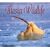 Alaska Wildlife Impressions