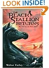 The Black Stallion Returns