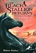 The Black Stallion Returns