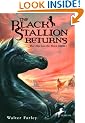 The Black Stallion Returns