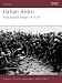 Italian Arditi: Elite Assault Troops 1917-20 (Warrior)