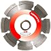 MK Diamond 154249 Premium Gold 4-Inch Dry Cutting Segmented Saw Blade with 5/8-Inch Arbor for Masonry