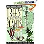 North american wildlife: trees and nonflowering plants field guide (North American Wildlife)