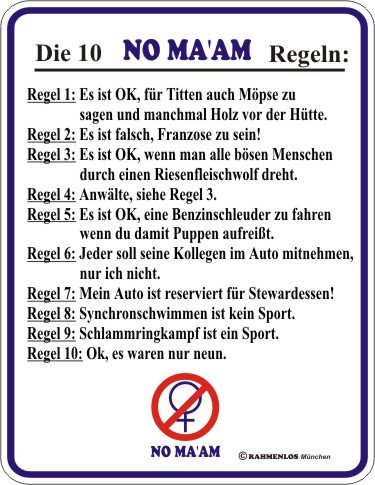 Blechschild Al Bundy Die 10 NO MA`AM Regeln