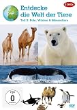 Entdecke die Welt der Tiere - Teil 2 - Pole, Wüsten und Meerestiere [2 DVDs]