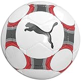 Puma v5.08 Soccer Ball