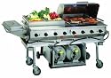 MagiKitchN LPAGA-60 Gas Grill