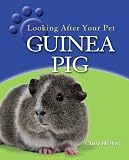 Guinea Pig (Looking After Your Pet)