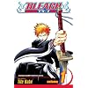 Bleach, Vol. 1