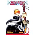 Bleach: v. 1