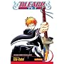 Bleach, Volume 1
