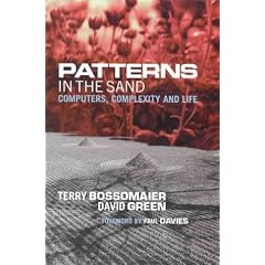 Patterns in the Sand: Computers, Complexity and Life (Frontiers of Science)