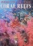 Beauty of the Coral Reefs