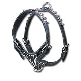 Two-Ply Latigo Dog Harness with Spikes and Studs model 174DSK (Burgundy, M: Neck strap adjusts 19in.-25 in. Chest 28 in.-)