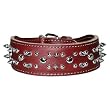 2 in. Spiked Studded Latigo Protector Dog Collar model 6019 Burgundy (Burgundy, 21 in.) 2 in. Spiked Studded Latigo Protector Dog Collar model 6019 Burgundy (Burgundy, 21 in.)