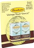 Danelectro 9-Volt Vintage Style Batteries 2-Pack