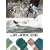 Art of Nordic Skiing