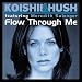 Flow Through Me (Slusnik Luna Remix feat. Meredith Salenger) (Album Version)