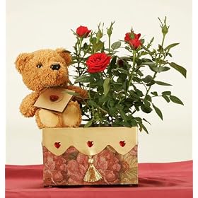 Red Heart Lovable Plush Bear with Gift Box + Gift Card