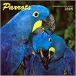 Parrots 2009 National Geographic Wall Calendar