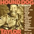 Hound Dog Taylor: A Tribute