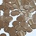 Round Sequin Paillettes 12mm Top Hole Pale Gold Metallic Loose Couture
