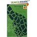 Serengeti II: Dynamics, Management, and Conservation of an Ecosystem