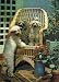 3D Lenticular POSTCARD - DOG
