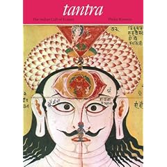 Tantra: The Indian Cult of Ecstasy (Art and Imagination)