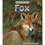 Wild Britain: Fox